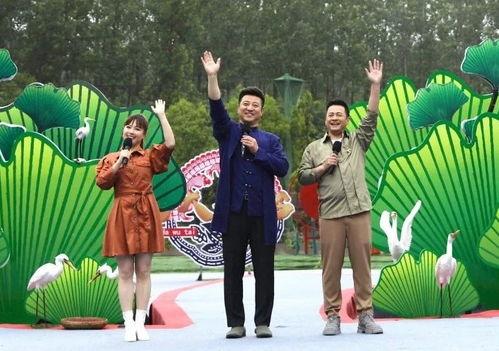 怀远网友爆料事件视频最新,最新事件视频引发热议，真相究竟如何？